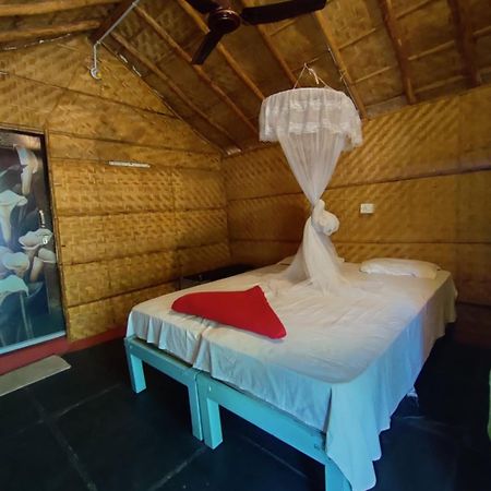 Hampi Nature Cottage Luaran gambar