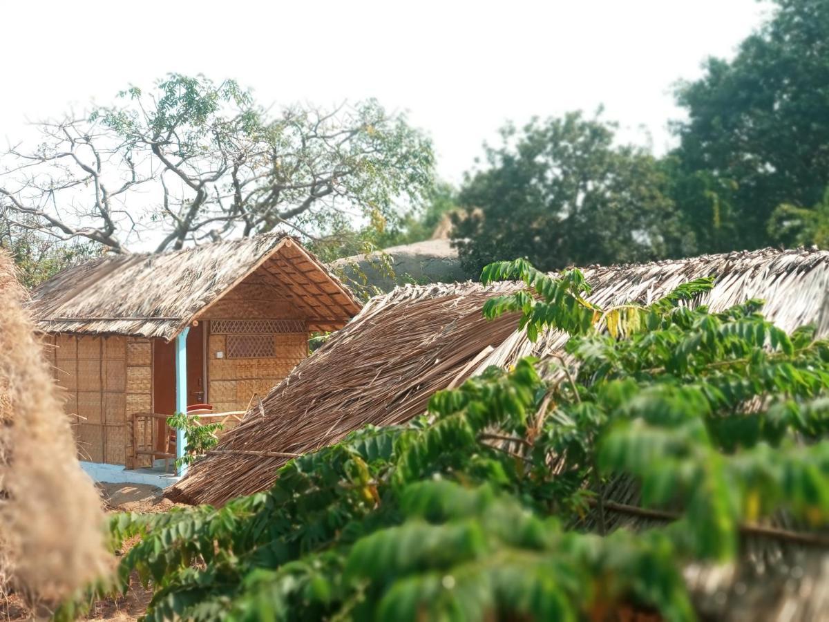 Hampi Nature Cottage Luaran gambar